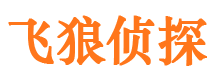 卢氏市调查公司